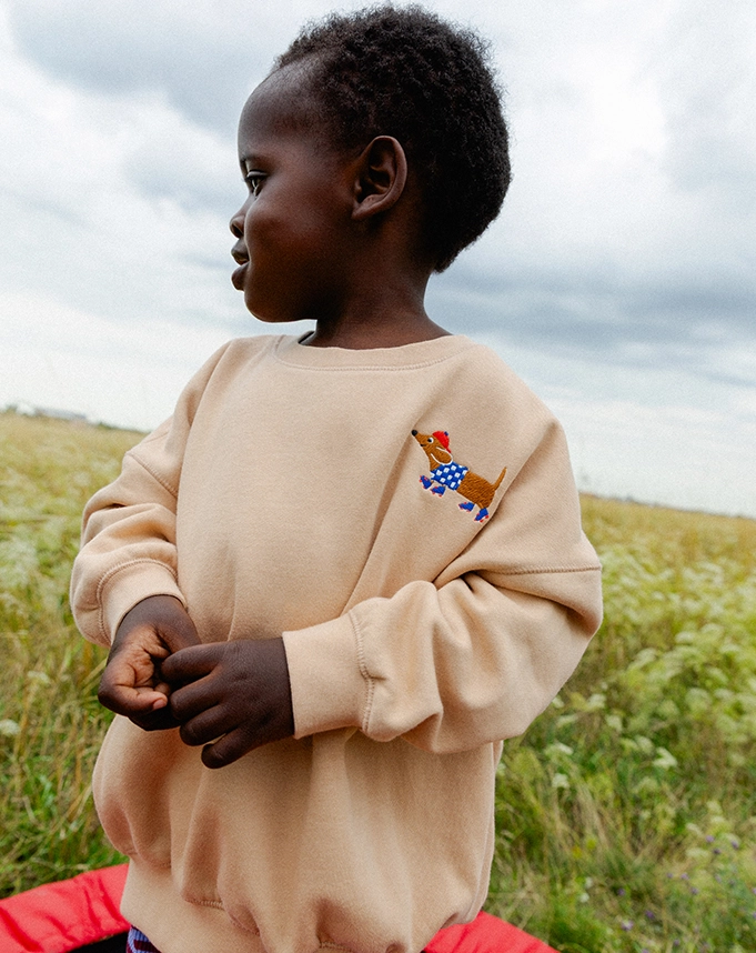 Ein Kind steht auf einer grünen Wiese und trägt einen beigefarbenen Sweater, der mit einem Rollschuh fahrenden Dackel-Motiv auf der Brust bestickt ist; Zum abgebildeten Sweater gehen