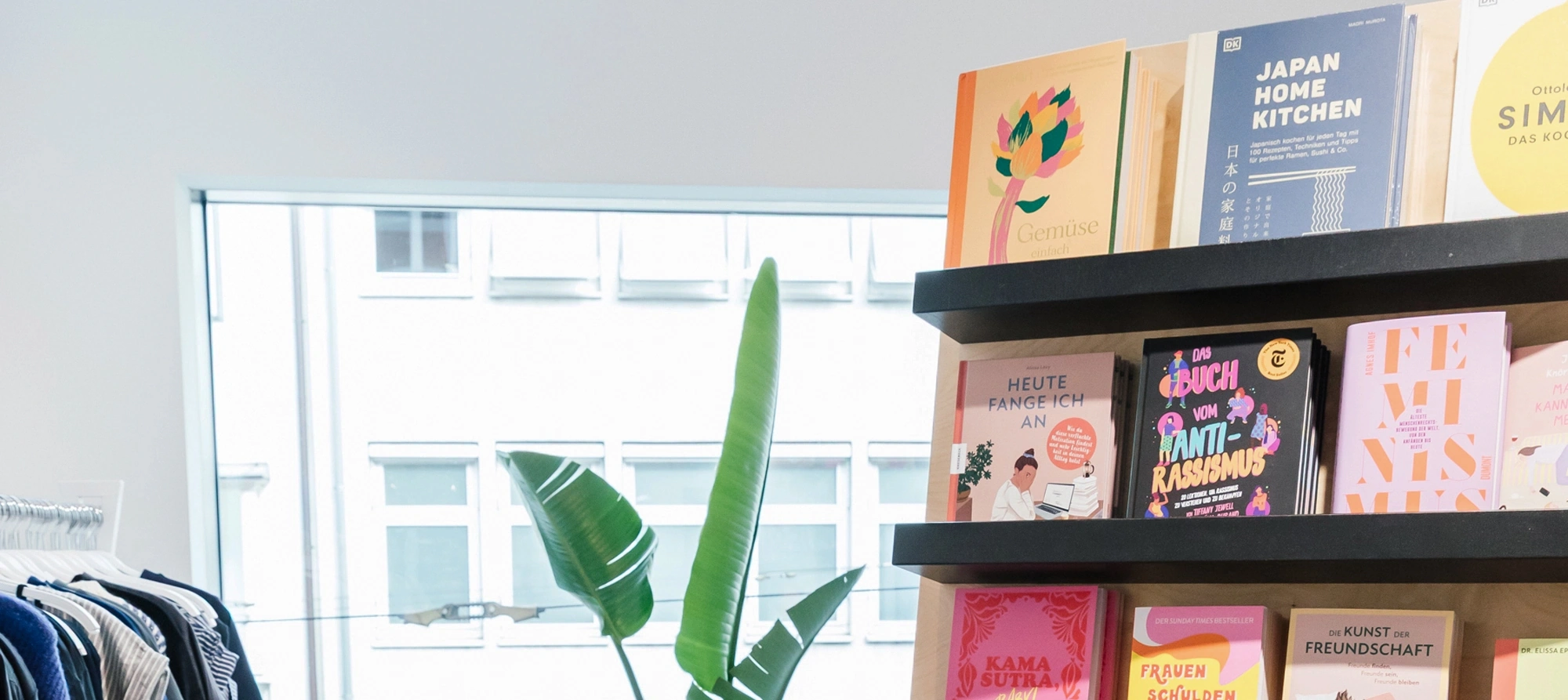 Bücherregal und Pflanze