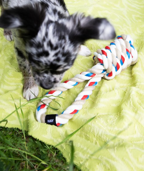 HAY Dogs Rope Toy (29x8x8) mehrfarbig