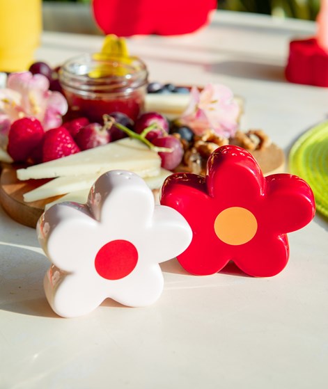 DOIY Daisy Salz- & Pfefferstreuer mehrfarbig