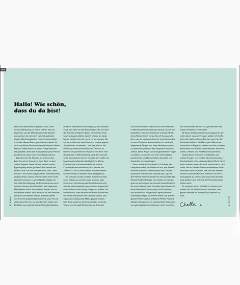 DK Verlag Period Positivity Ratgeber mehrfarbig