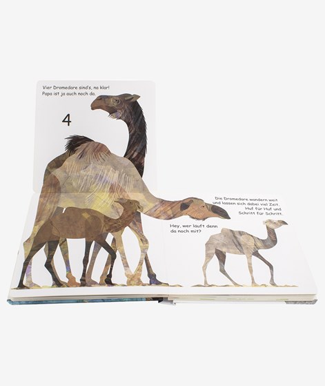 DK Verlag Tiere ABC Kinderbuch mehrfarbig