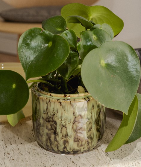 2HAVE Flame (13x15) Blumentopf Grün